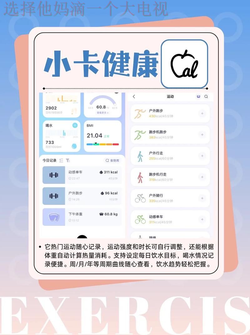 全面解析体育APP官网功能及使用技巧